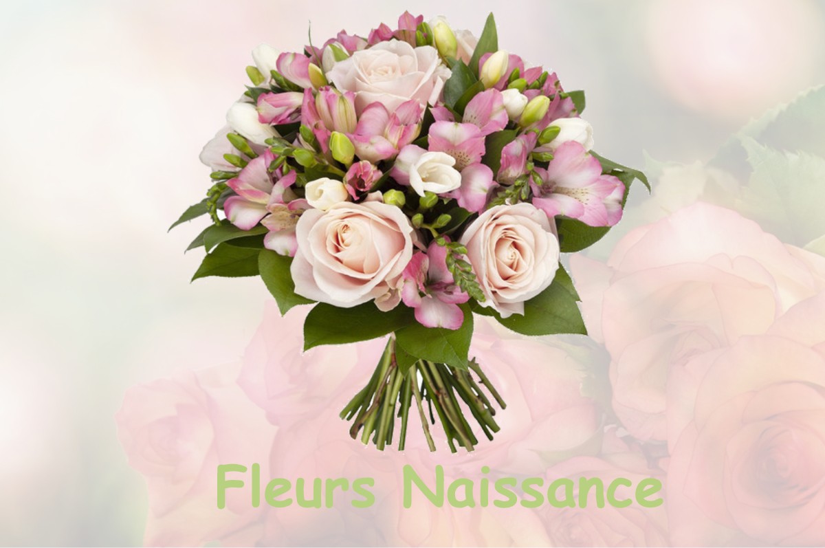 fleurs naissance BESAIN