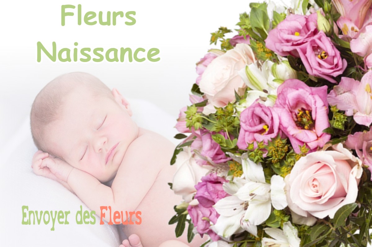 lIVRAISON FLEURS NAISSANCE à BESAIN